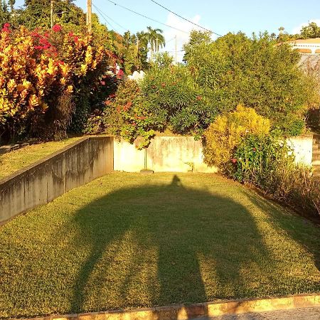 Charmant Appartement Verdoyant Le Morne-Vert Esterno foto