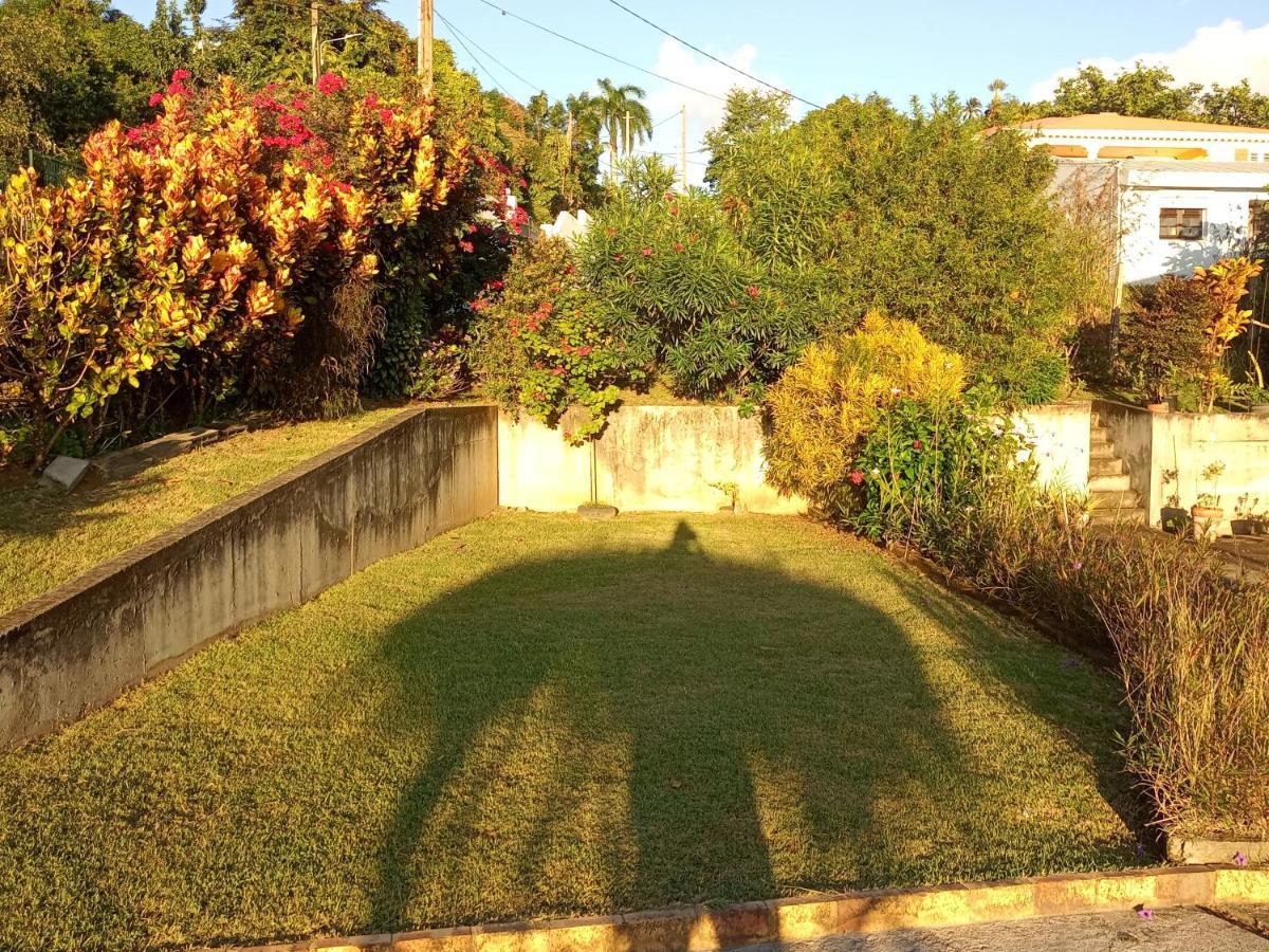 Charmant Appartement Verdoyant Le Morne-Vert Esterno foto